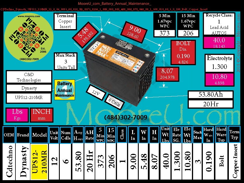 Product image for Battery Annual Maintenance CDTechno Dynasty UPS12 210MR