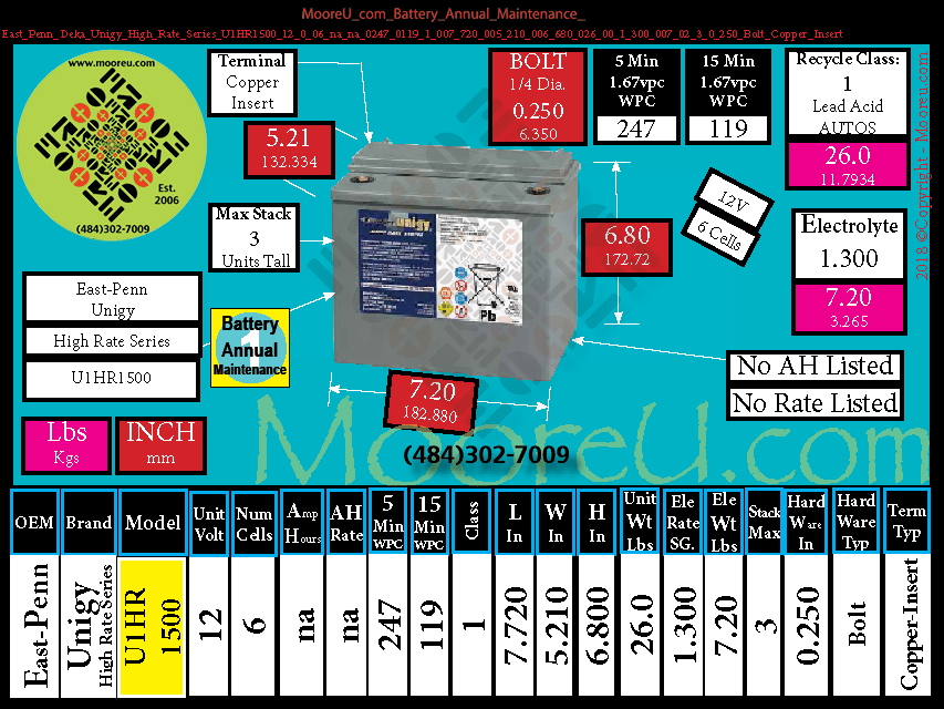 Product image for Battery Annual Maintenance East Penn Deka Unigy High Rate Series U1HR1500