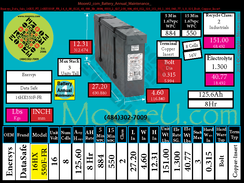 Product image for Battery Annual Maintenance Enersys Data Safe 16HX FT 16HX550F FR