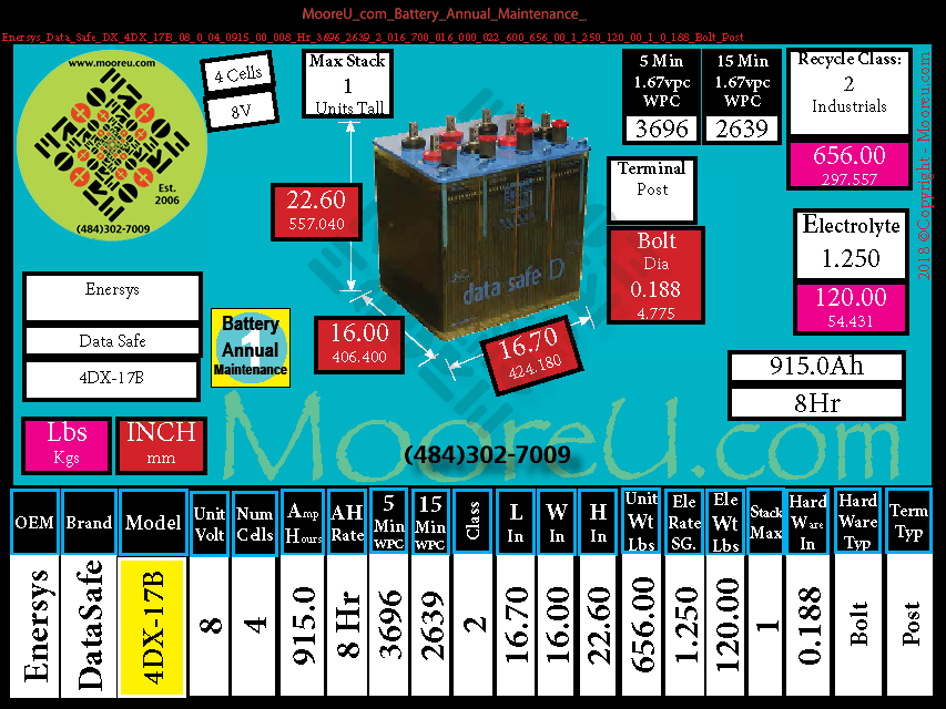 Product image for Battery Annual Maintenance Enersys Data Safe DX 4DX 17B