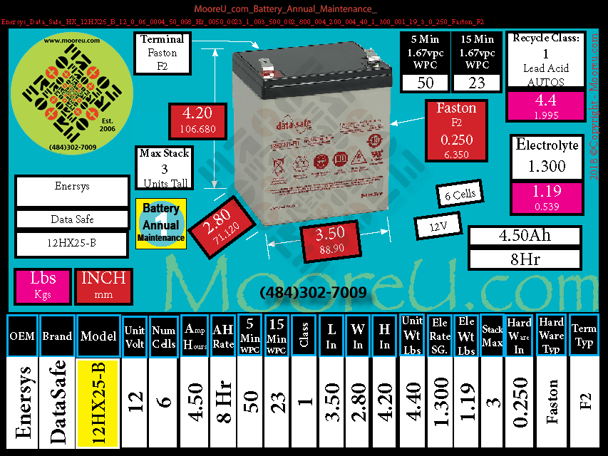 Product image for Battery Annual Maintenance Enersys Data Safe HX 12HX25 B