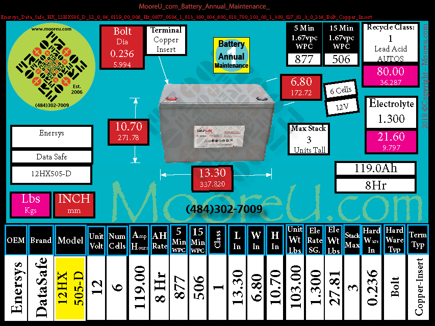 Product image for Battery Annual Maintenance Enersys Data Safe HX 12HX505 D