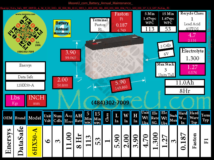 Product image for Battery Annual Maintenance Enersys Data Safe HX 6HX50 A