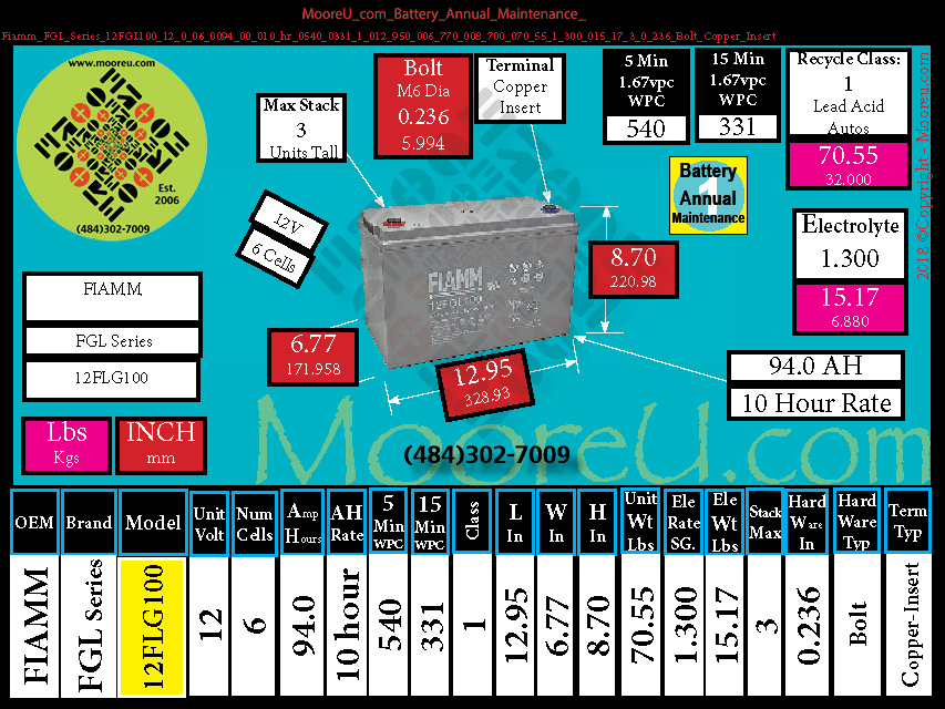Product image for Battery Annual Maintenance Fiamm FGL Series 12FGL100