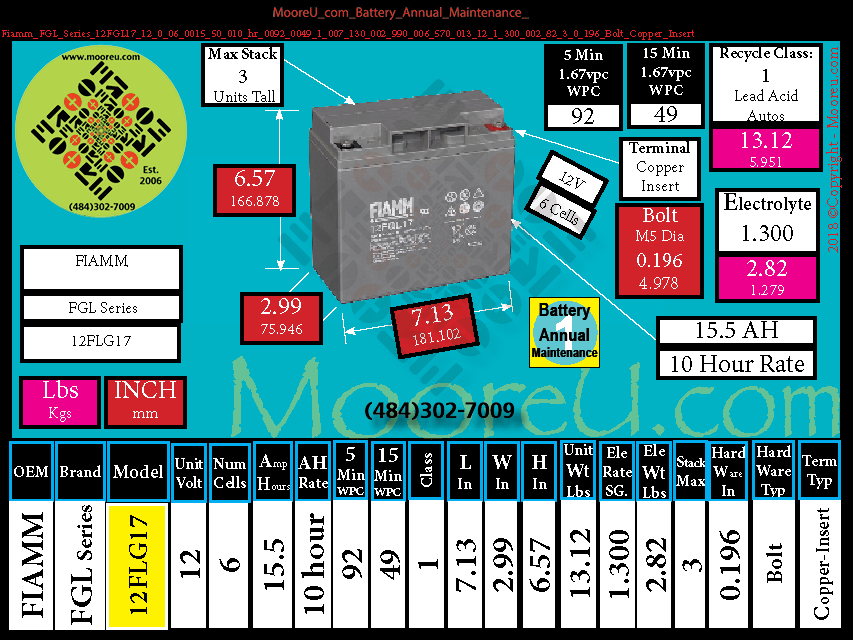 Product image for Battery Annual Maintenance Fiamm FGL Series 12FGL17