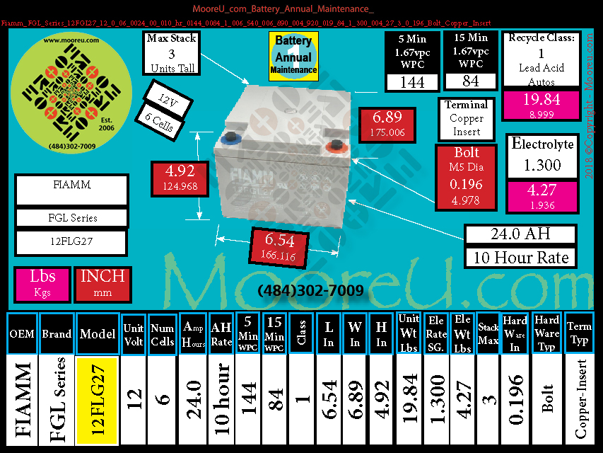 Product image for Battery Annual Maintenance Fiamm FGL Series 12FGL27
