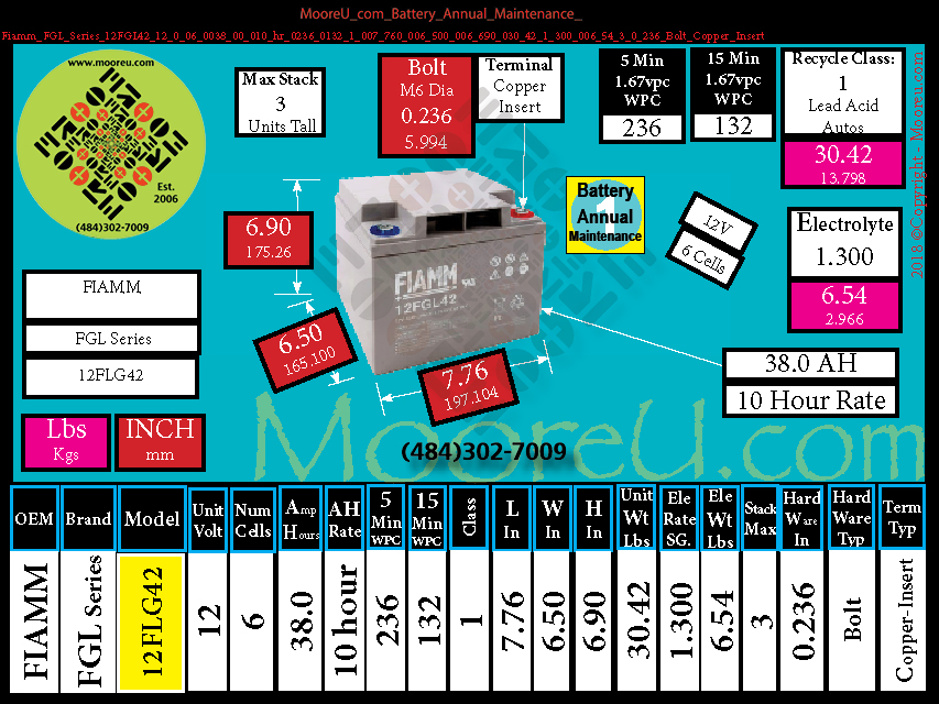 Product image for Battery Annual Maintenance Fiamm FGL Series 12FGL42