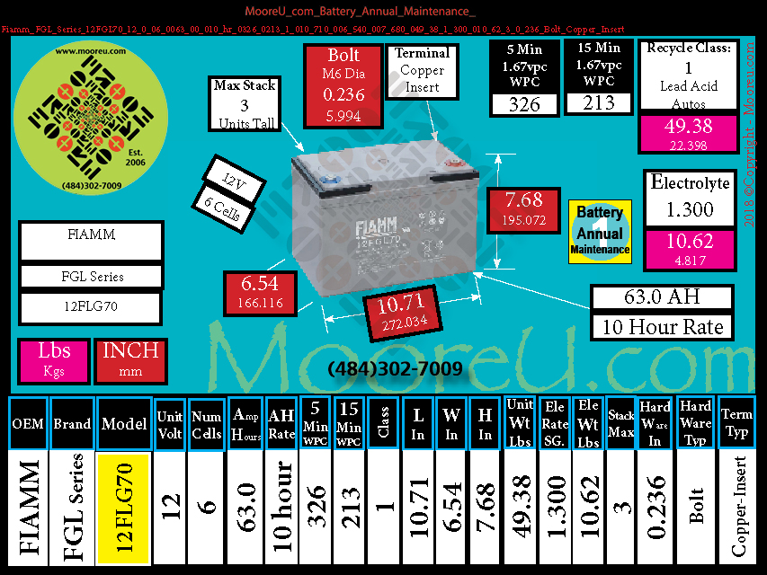 Product image for Battery Annual Maintenance Fiamm FGL Series 12FGL70