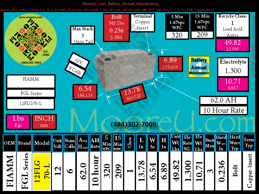 Product image for Battery Annual Maintenance Fiamm FGL Series 12FGL70 L