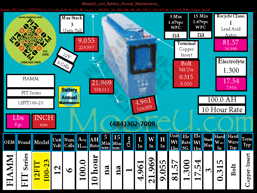 Product image for Battery Annual Maintenance Fiamm FIT Series 12FIT100/23
