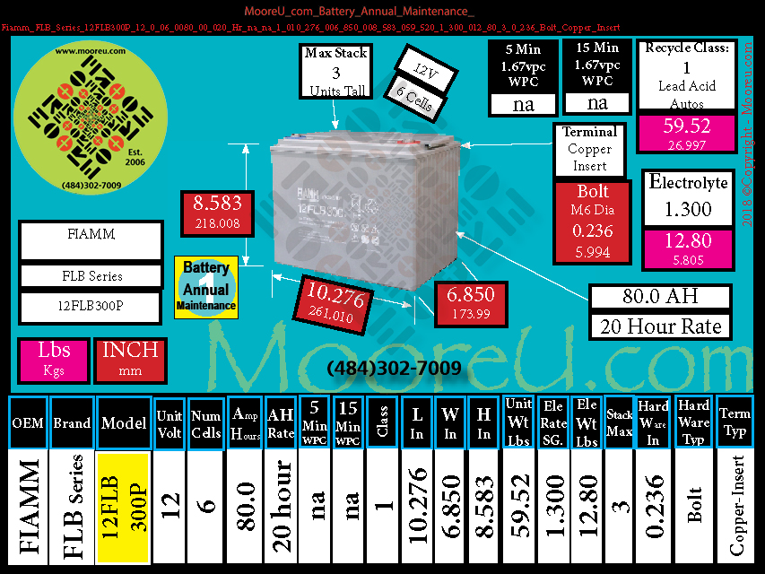 Product image for Battery Annual Maintenance Fiamm FLB Series 12FLB300P