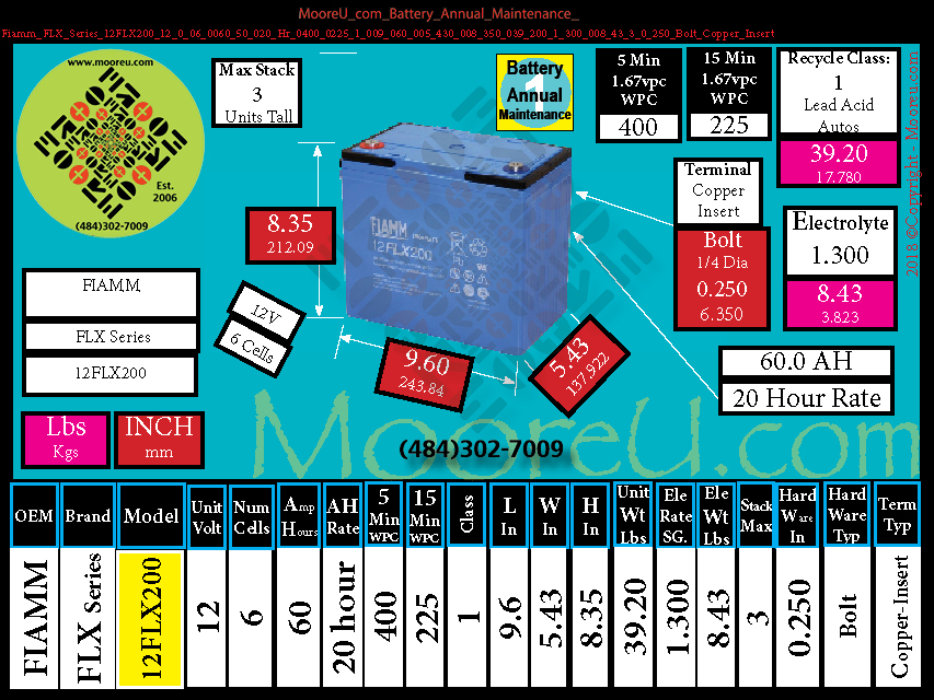 Product image for Battery Annual Maintenance Fiamm FLX Series 12FLX200