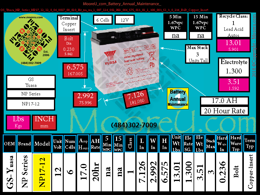 Product image for Battery Annual Maintenance GS Yuasa NP Series NP17 12