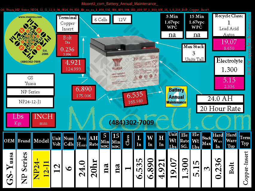 Product image for Battery Annual Maintenance GS Yuasa NP Series NP24 12 J1