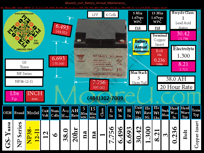 Product image for Battery Annual Maintenance GS Yuasa NP Series NP38 12 J1