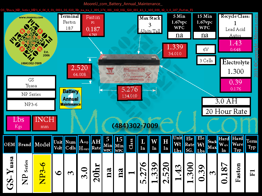 Product image for Battery Annual Maintenance GS Yuasa NP Series NP3 6
