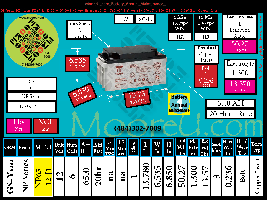 Product image for Battery Annual Maintenance GS Yuasa NP Series NP65 12 J1