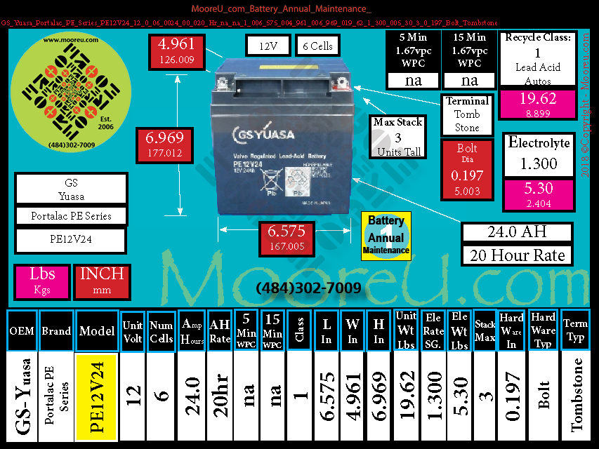 Product image for Battery Annual Maintenance GS Yuasa Portalac PE Series PE12V24