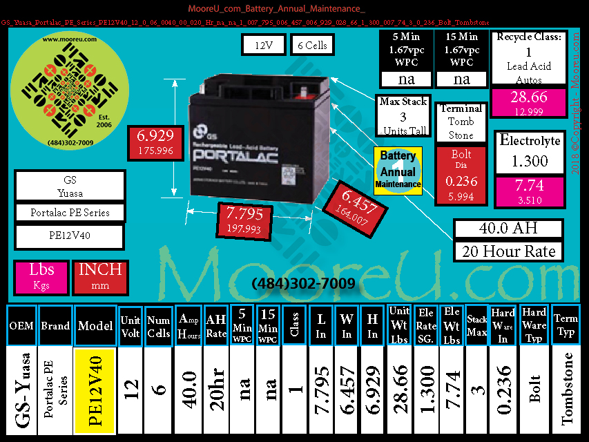 Product image for Battery Annual Maintenance GS Yuasa Portalac PE Series PE12V40