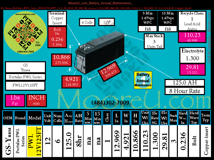 Product image for Battery Annual Maintenance GS Yuasa Portalac PWL Series PWL12V125FT