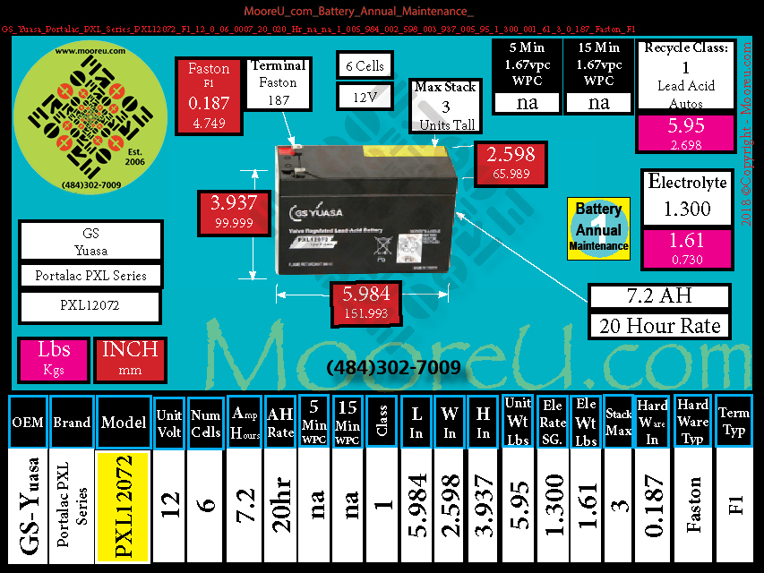 Product image for Battery Annual Maintenance GS Yuasa Portalac PXL Series PXL12072 F1