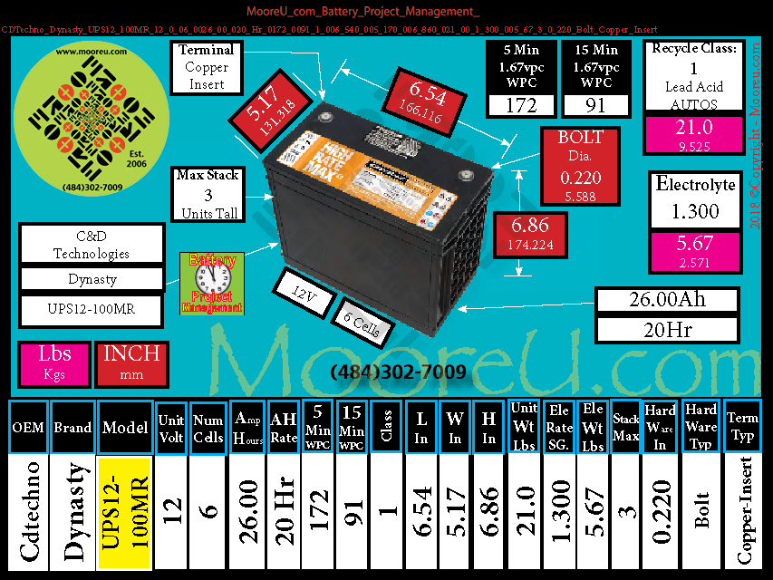 Product image for Battery Project Management CDTechno Dynasty UPS12 100MR