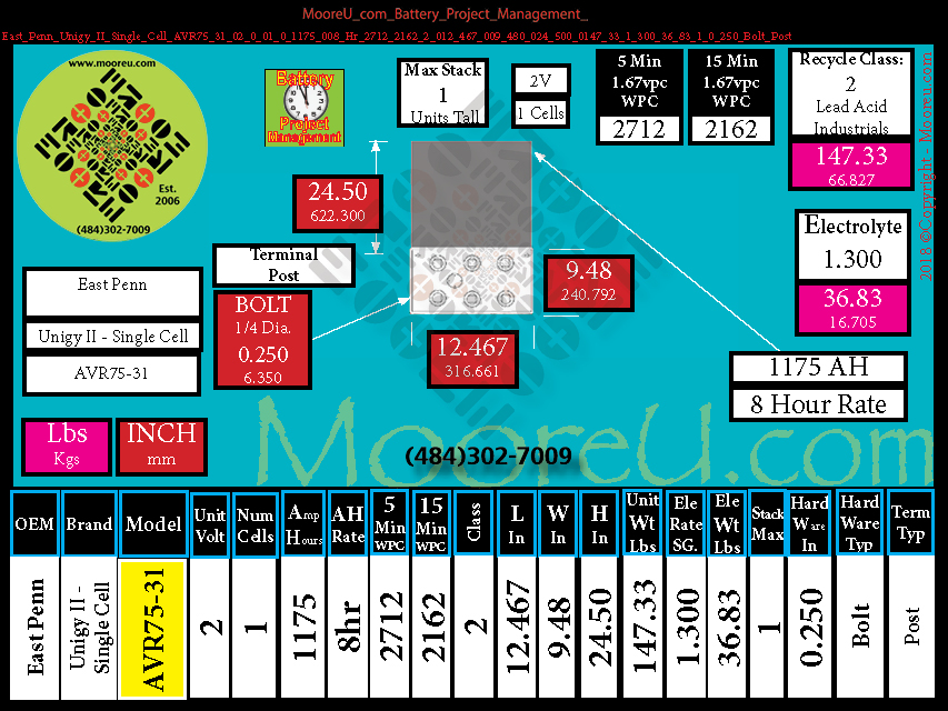 Product image for Battery Project Management East Penn Unigy II Single Cell AVR75 31