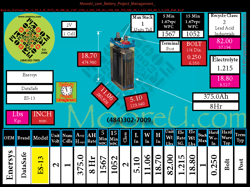 Product image for Battery Project Management Enersys DataSafe ES 13