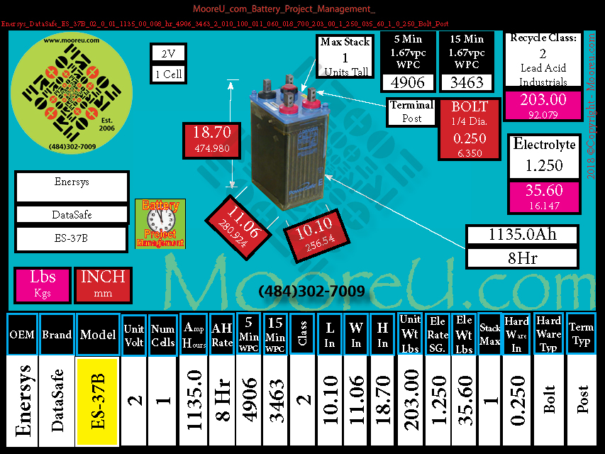 Product image for Battery Project Management Enersys DataSafe ES 37B