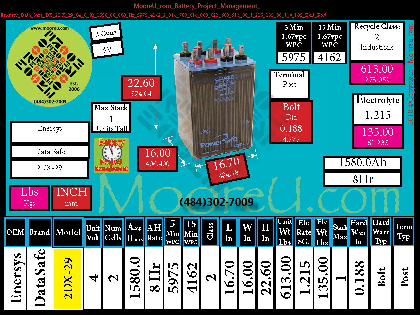 Product image for Battery Project Management Enersys Data Safe DX 2DX 29