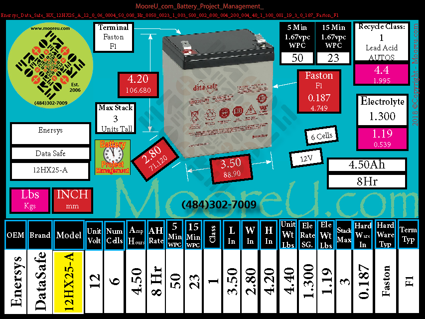 Product image for Battery Project Management Enersys Data Safe HX 12HX25 A