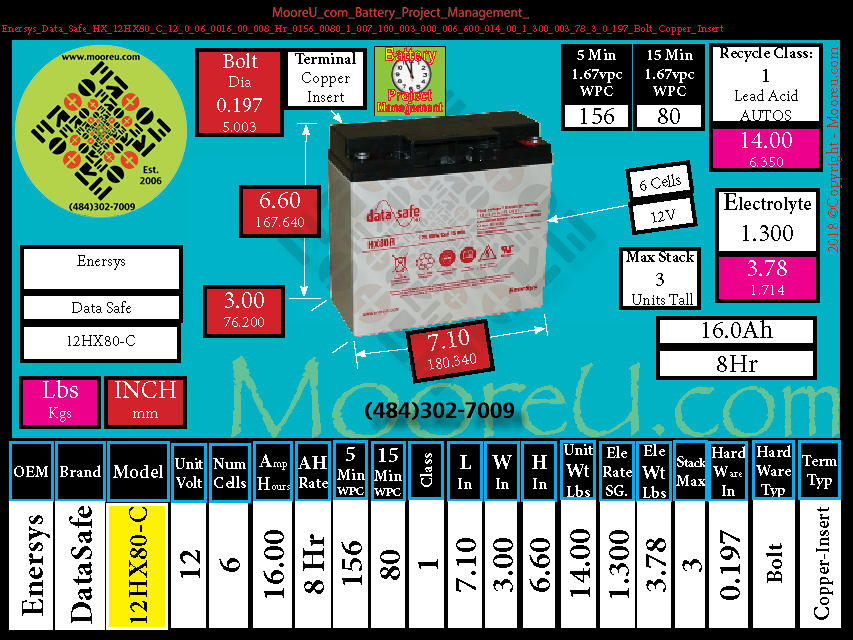 Product image for Battery Project Management Enersys Data Safe HX 12HX80 C