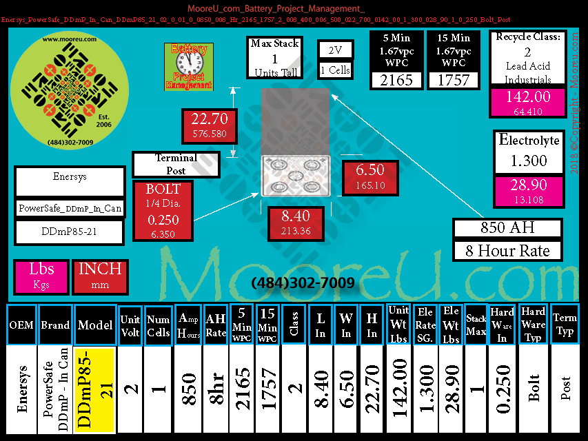 Product image for Battery Project Management Enersys PowerSafe DDmP In Can DDmP85 21