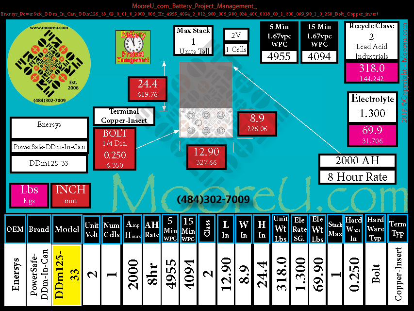 Product image for Battery Project Management Enersys PowerSafe DDm In Can DDm125 33
