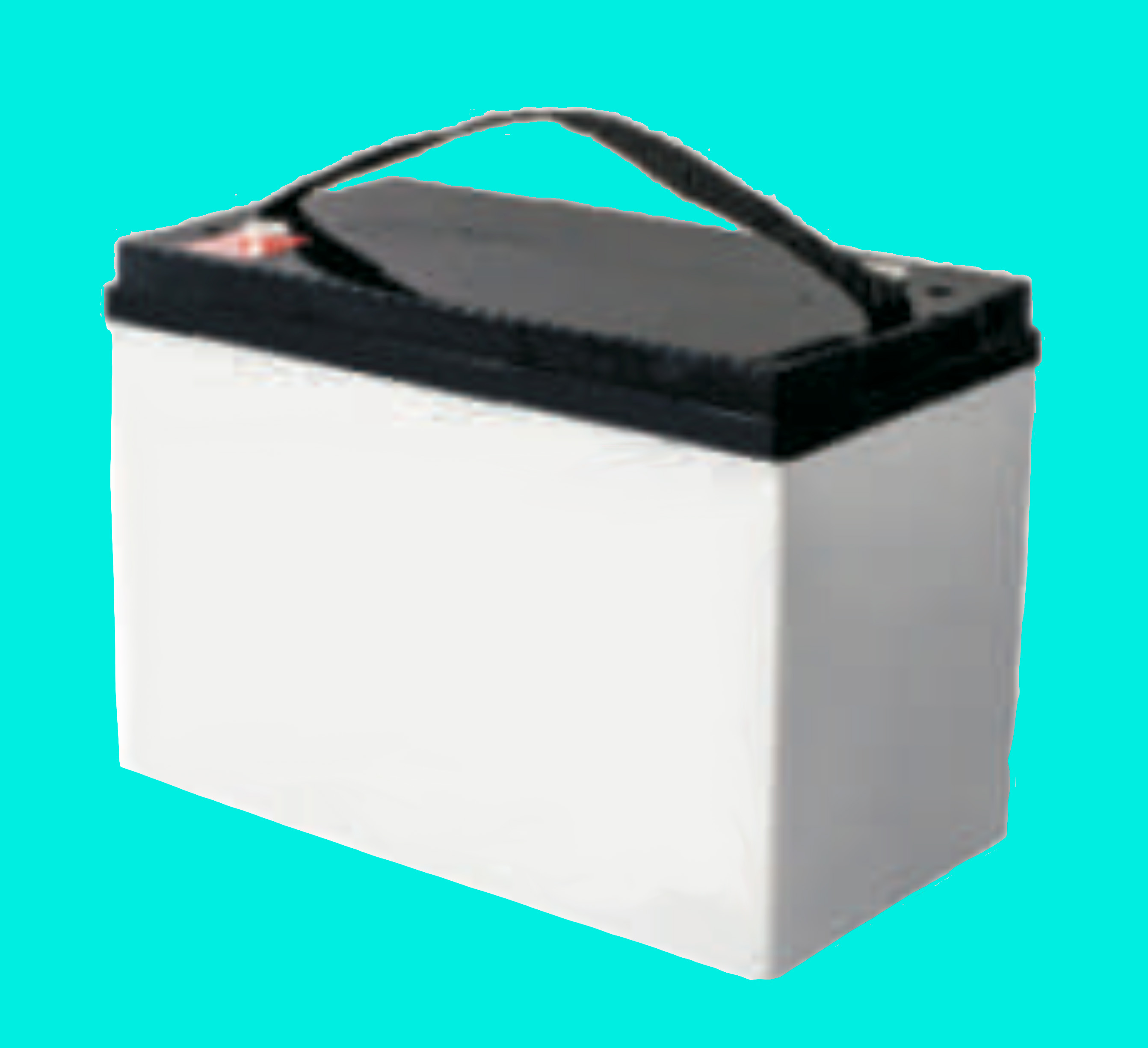 Product image for Battery Recycle Exide Battery Sonnenschein A600 A606 300 6V 6OPzV 300 FM8