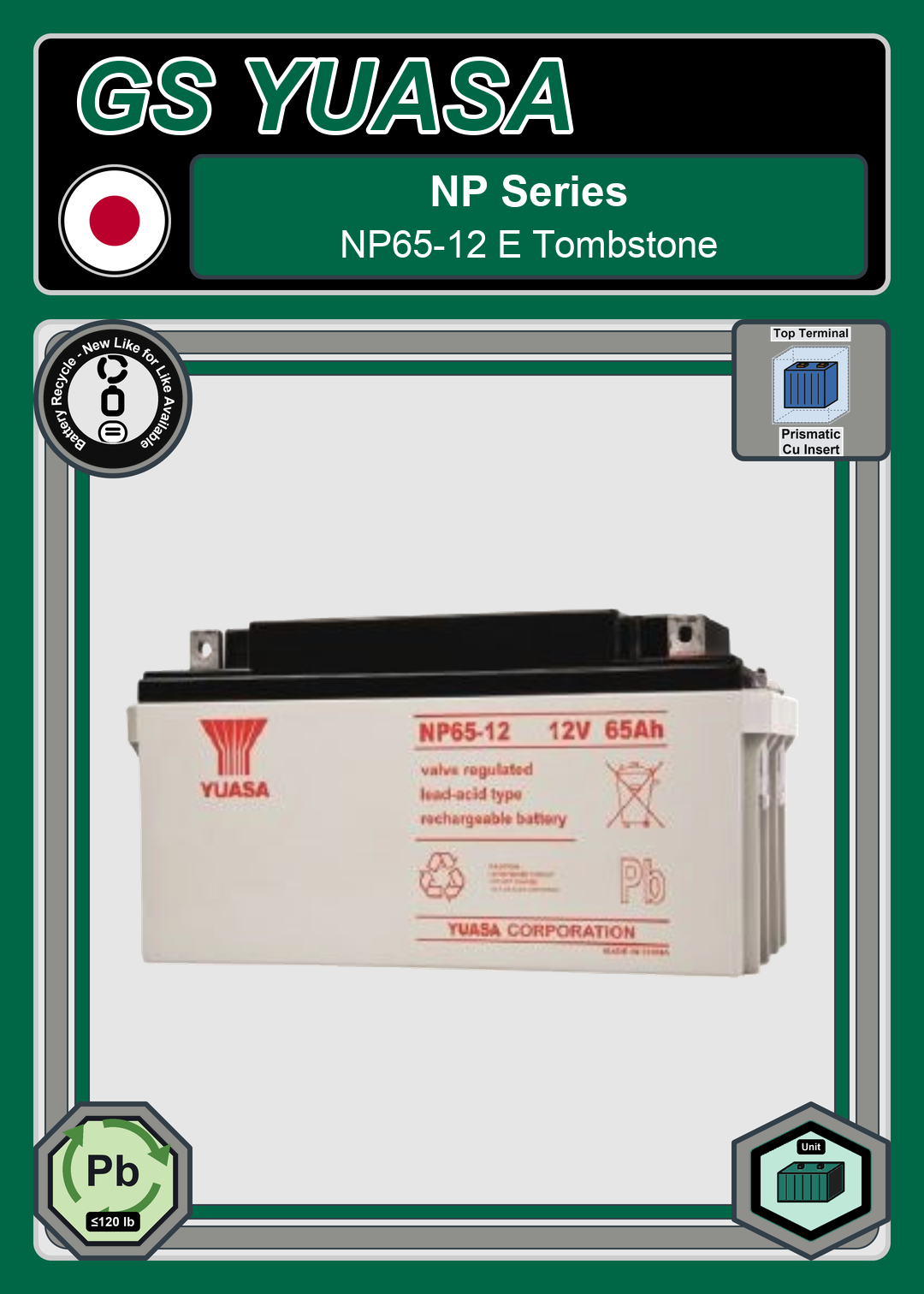 Battery Recycle GS Yuasa NP Series NP65 12 E Tombstone