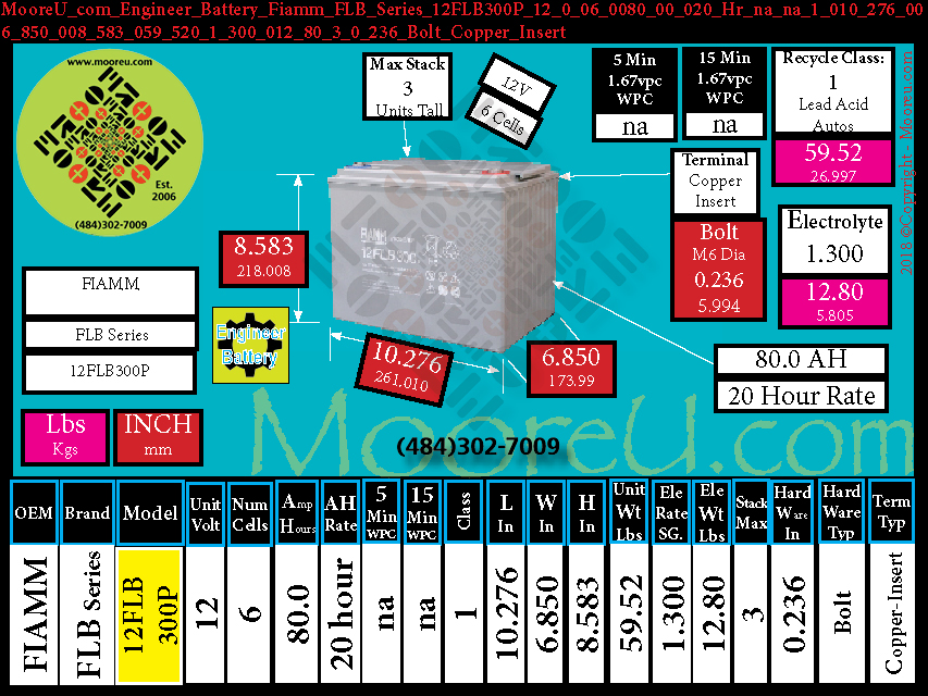 Product image for Engineer Battery Fiamm FLB Series 12FLB300P