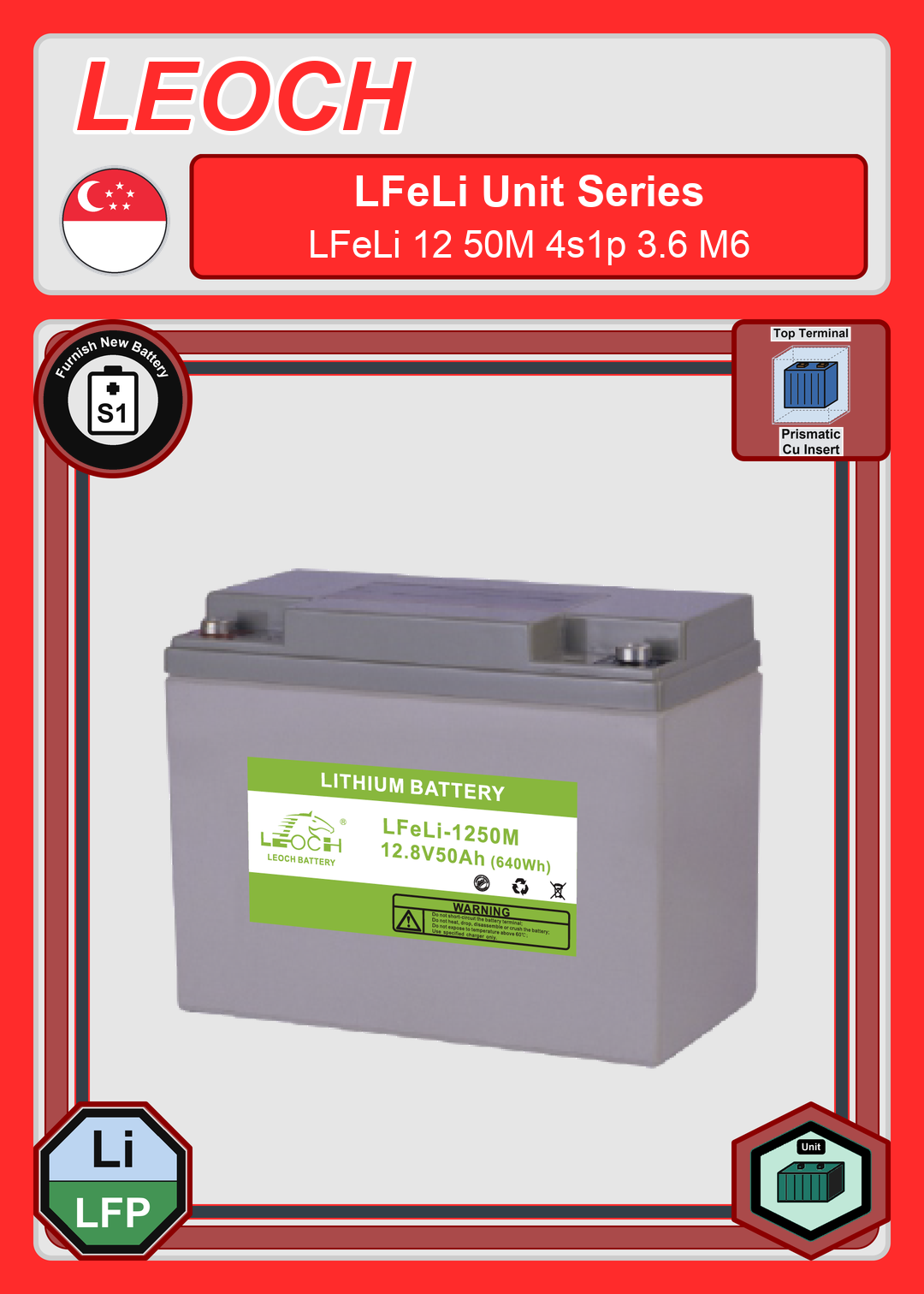 Furnish New Battery Leoch Battery LFeLi Unit Series LFeLi 12 50M 4s1p 3 6 M6
