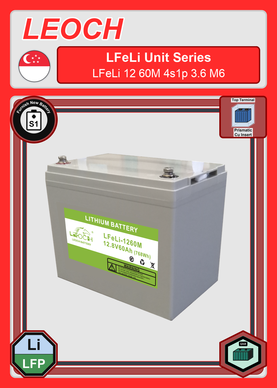 Furnish New Battery Leoch Battery LFeLi Unit Series LFeLi 12 60M 4s1p 3 6 M6
